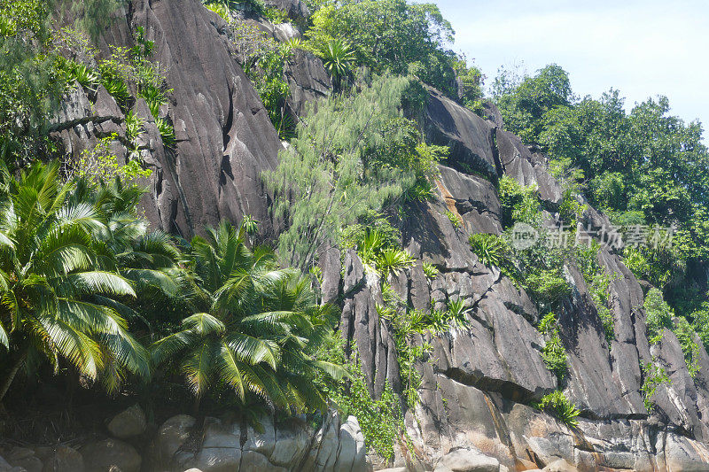 Anse la Liberte, Mahe，塞舌尔